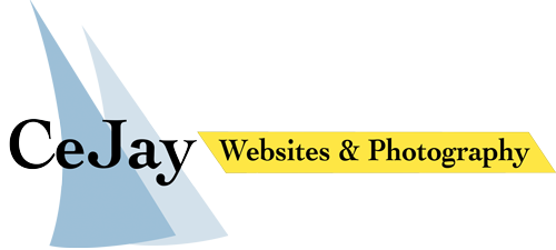 Logo-Rect-No-Blue-Box CeJay Logo
